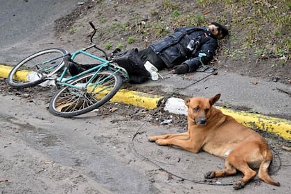 Un perro yace junto al cuerpo de Volodymyr Brovchenko en la calle Yablunska en Bucha, al noroeste de Kyiv. Según testigos, fue asesinado a tiros alrededor del 5 de marzo durante la ocupación rusa de la ciudad cuando iba en bicicleta a otro pueblo