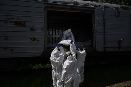 Expertos forenses ucranianos examinan el cuerpo de un soldado ruso exhumado en la aldea de Zavalivka, al oeste de Kyiv, en un vagón de tren refrigerado con soldados rusos muertos en combate
Haste el 22 de mayo más de 230 cuerpos rusos había sido recogidos y almacenados en Ucrania.