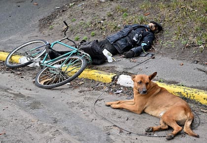 EDITORS NOTE: Graphic content / CAPTION ADDITION - A dog lies next to the body of a man, in the town of Bucha, not far from the Ukrainian capital Kyiv on April 3, 2022. US and NATO leaders voiced shock and horror April 3, 2022, at new evidence of atrocities against civilians in Ukraine, and warned that Russian troop movements away from Kyiv did not signal a withdrawal or end to the violence. - The Kremlin on April 4, 2022 rejected accusations that Russian forces were responsible for killing civilians near Kyiv. "We categorically reject all allegations," Kremlin spokesman Dmitry Peskov told journalists. (Photo by Sergei SUPINSKY / AFP)