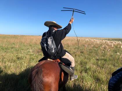 Guerra intentan localizar a un yaguareté con su antena