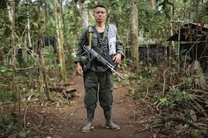 Las FARC en la Argentina, una historia de “movimientos legales” que supieron generar preocupación