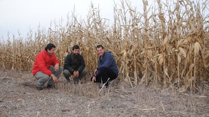 Guillermo Álvarez, Mariano Carman y Adrián Sánchez apuestan al manejo de la agricultura por ambientes