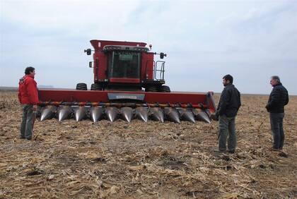 Guillermo Álvarez, Mariano Carman y Walter Martín en un campo en Daireaux