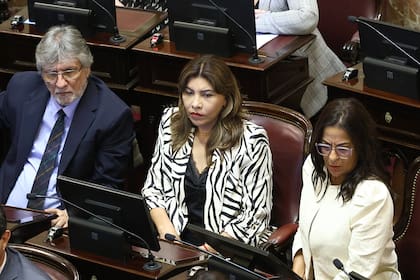 Guillermo Andrada (Catamarca), Carolina Moisés (Jujuy) y Sandra Mendoza (Tucumán) abandonaron el espacio que nuclea al peronismo en la Cámara alta. Sesión preparatoria del Senado para designar autoridades previo al inicio de ordinarias.
24/02/2026.