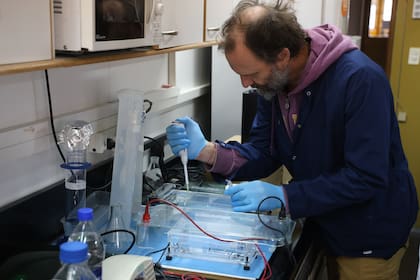 Guillermo Deferrari y Sebastian Poljak Investigadores científicos del Centro Austral De Investigaciones Científicas (CADIC-CONICET) en Ushuaia, Tierra del Fuego, investigando los ADN de toda la fauna local, incluyendo roedores ratón colilargo (Oligoryzomys longicaudatus), reservorio conocido del virus hantavirus