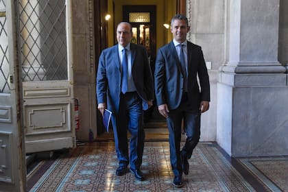 Guillermo Francos y Martín Menem