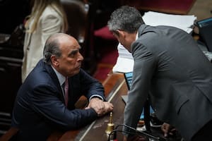 Guillermo Francos y Martín Menem