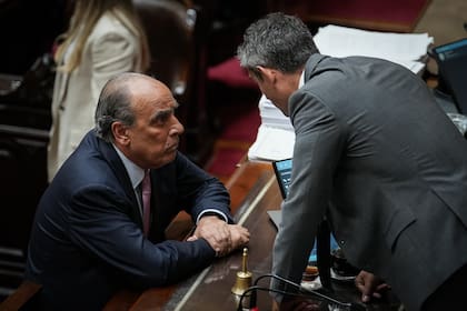 Guillermo Francos y Martín Menem