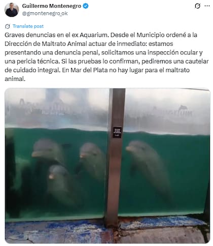 Guillermo Montenegro sobre la situación de los delfines en el Aquarium de Mar del Plata (X: @gmontenegro_ok)