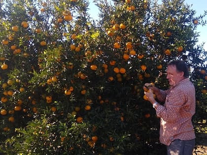 Gustavo Cechetto en su finca