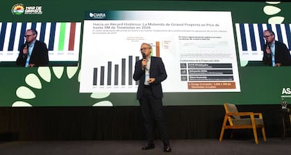 Gustavo Idígoras, presidente de la Cámara de la Industria Aceitera (Ciara) y el Centro de Exportadores de Cereales (CEC)