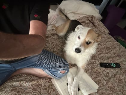 Gustavo se sentó al lado de Alma y le prometió que nunca más volvería a la calle