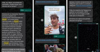 Guzmán recibió la invitación al "trabajo" a través de un número desconocido de WhatsApp.