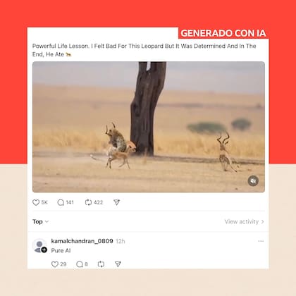 Ha crecido una reacción contra la "basura" de la IA, con muchos comentarios debajo de videos y fotos que ahora señalan si algo es generado por IA.