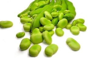 Habas verdes: conocé sus beneficios para la salud y por qué ayudan a tratar algunas enfermedades
