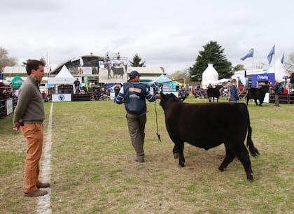 “Haber llegado hasta acá son muchas sensaciones y emociones juntas. Siento que estoy jugando en Primera", se emociona el joven