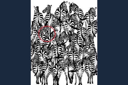 ¿Habías logrado encontrarlo? ¿En cuánto tiempo lo hiciste?