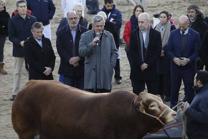 Habla Nicolás Pino, presidente de la Rural