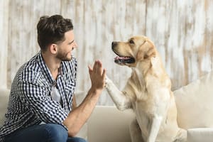 Un experto explicó los beneficios que tiene para la salud hablar con tu perro