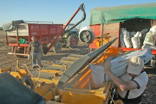 Suelos: los datos revelan que algo no se está haciendo bien