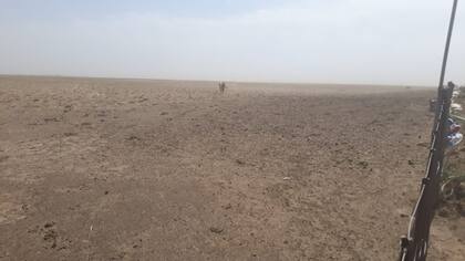 Habrá un fuerte impacto sobre la cantidad de cabezas de hacienda en la región