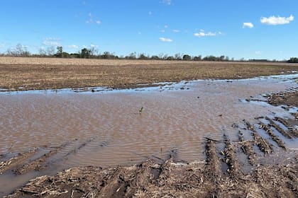 “Perturbada”: anticipan cómo será la tormenta de Santa Rosa y lo que dejará para los próximos meses