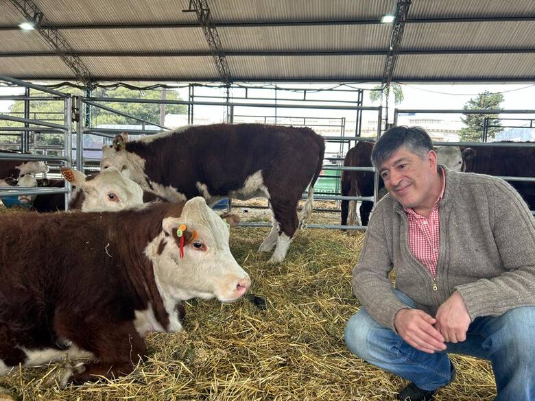 Un viaje de 3000 kilómetros: la odisea de las cabañas fueguinas para llegar al centenario de Hereford