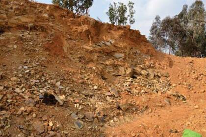 Hace 500 millones de años, este sitio arqueológico era una colonia de antiguos artrópodos, gusanos y otras criaturas de las profundidades del océano