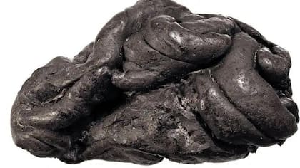 Hace 6.000 años, Lola masticó este pedazo de alquitrán de abedul, y ahora sabemos algunas cosas sobre ella.