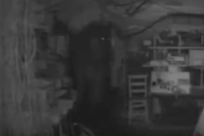 Hace algunos años, Steve Wesson, especialista en fenómenos paranormales, dijo haber visto una figura en el castillo que era "la viva imagen de la reina Isabel I"