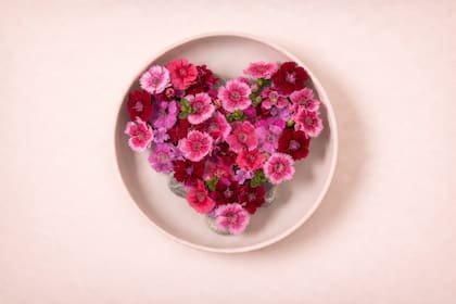 Hace cuatro años, en una playa de Reino Unido, Phillip le pidió casamiento a su mujer: “Fue entre piedra y piedra, y me dijo que sí”, recuerda.