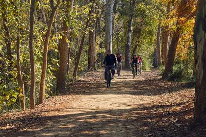 Hace poco se sumaron a la urbanización 150 bicis públicas que permiten recorrer en dos ruedas todos los rincones de la ciudad: el servicio es gratuito, y lo pueden usar tanto los vecinos como los invitados.