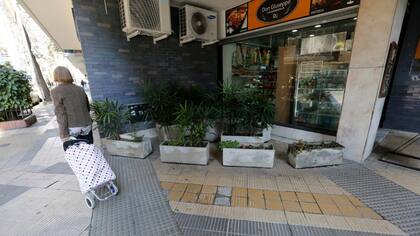 Hace seis meses, los vecinos colocaron macetas en Julián Álvarez y Beruti