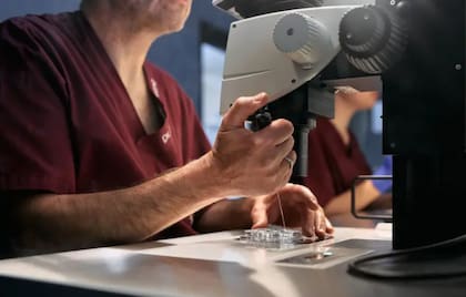 Hace tres décadas, la fertilización in vitro era un proceso complejo que no siempre ofrecía los resultados deseados