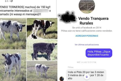 Según los damnificados, este es un posteo donde quienes ocupan el lugar venden animales del tambo