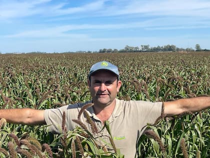 “Hacemos 7500 hectáreas de agricultura, que se transforman en 12.000 por el solapamiento del doble cultivo", dice Marchi