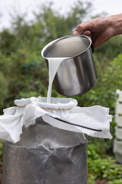 Queso de cabra: de un pueblo remoto al refinado Hotel Alvear 23 Hacen queso siguiendo el estilo francés.