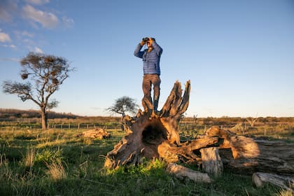 Hacer avistaje de aves es un muy buen plan.