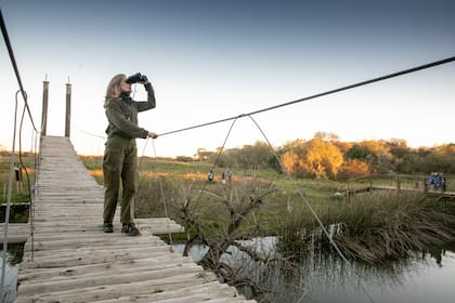 Hacer avistaje de aves es uno de los programas más convocantes.