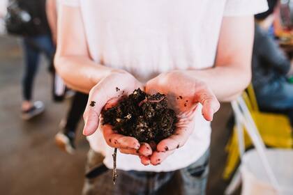 Hacer un compost en casa es simple. Sobre todo de la mano de Compostate Bien.