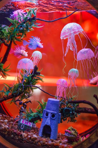 "Hacer un lugar instagrameble", dijeron al pensar en Niño Gordo. Cautiva la iluminación predominantemente roja, los tanques de medusas, los juguetes kitsch y las mesas bajitas