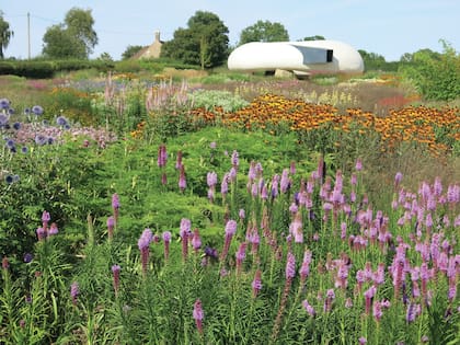 Hacia el final del recorrido se llega al Radic Pavillion, donde se realizan muestras y eventos y que hoy es un sello del jardín. En pleno verano se destacan los liatris y heleniums, entre otras.