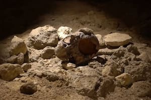 Hacía tareas de refacción de agua y entre las piedras encontró joyas de más de 2500 años