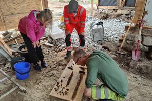 Hallazgo en el jardín: hacían una remodelación y encontraron una tumba vikinga