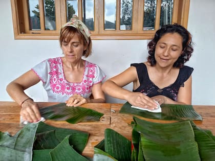 Haciendo envueltos de yuca, queso y panela en Cali, Colombia.