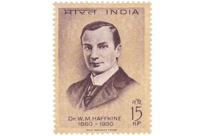 Haffkine fue exonerado en noviembre de 1907