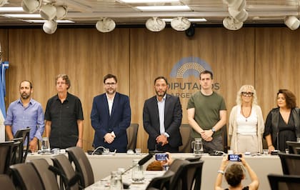 Hagman, los exdiputados Castillo y Agost Carreño, Ferraro, Marino, Selva y Frade.