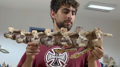 Hallan en Francia un esqueleto de dinosaurio de hace 70 millones de años