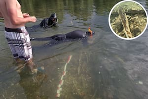 Hallan en un río de Bosnia, un conjunto de lingotes de metal de hace más de 2000 años, únicos en su tipo en Europa