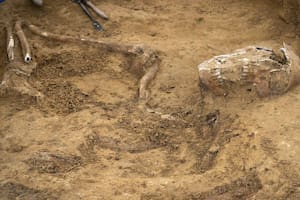 Hallan esqueletos de hombres y caballos sepultados en el campo de la histórica batalla de Waterloo